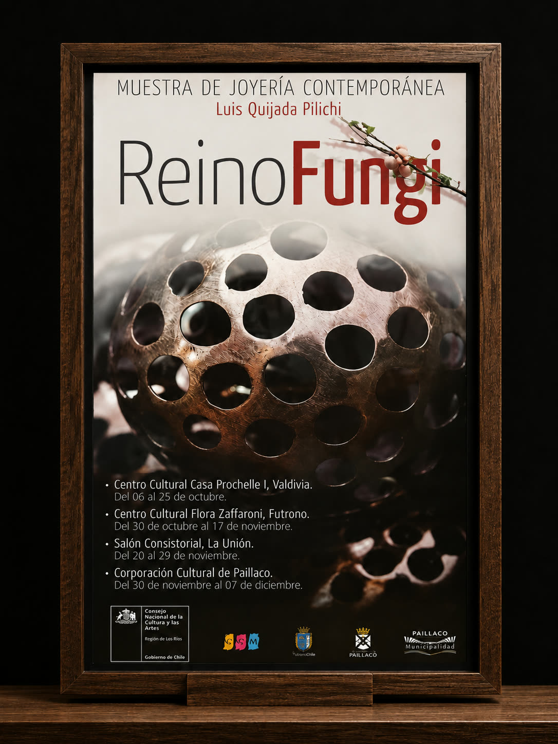Afiche enmarcado de la muestra Reino Fungi: una esfera calada de metal iluminada sobre fondo oscuro, con el listado de sedes.